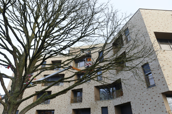 F&auml;llung Baumhasel Hohenstaufenallee